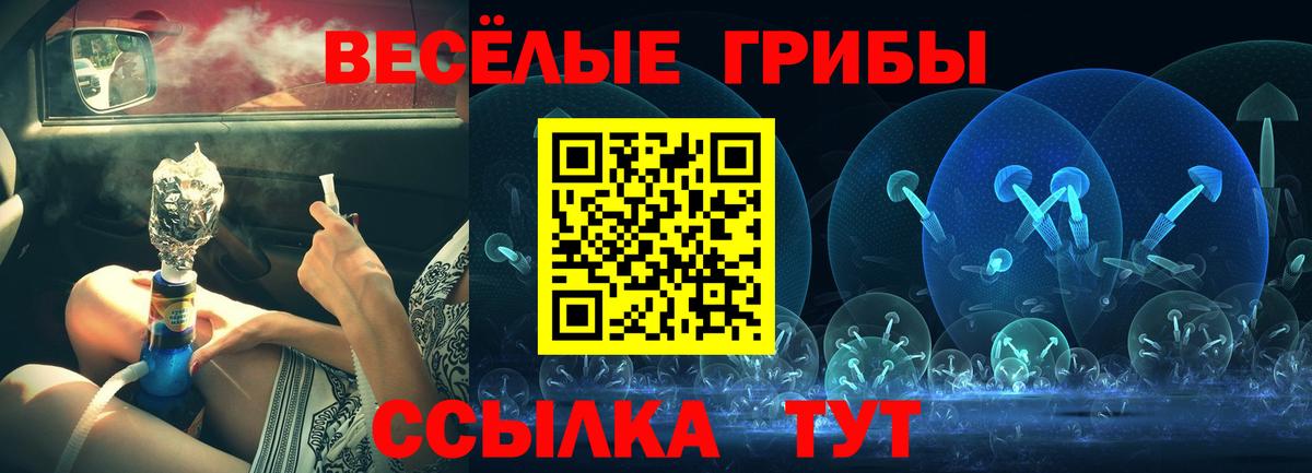 Галлюциногенные грибы Cubensis  Вход с VPN  Сибай 
